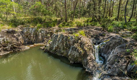 Gorge Walking Track - Accommodation Burleigh 1