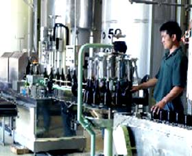 Sun Masamune Sake Brewery - Accommodation Burleigh 2