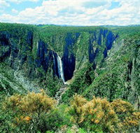 Wollomombi Falls - Accommodation Burleigh