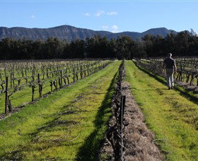 Around Hermitage Wine And Food Trail Hunter Valley - Accommodation Burleigh 1