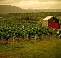 Around Hermitage Wine and Food Trail Hunter Valley - Accommodation Burleigh