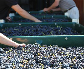 Around Hermitage Wine And Food Trail Hunter Valley - Accommodation Burleigh 6