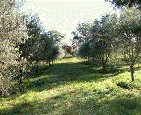 Langdale Farm - Accommodation Burleigh