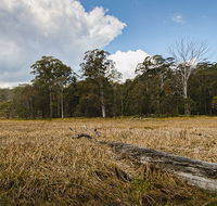 Mummel Gulf National Park - Accommodation Burleigh