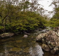River walking track - Accommodation Burleigh