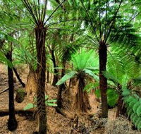 Pegarah Private Nature Reserve  Parenna Place - Accommodation Burleigh