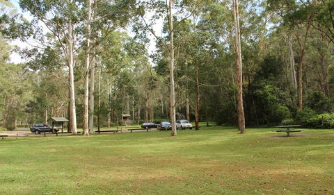 Mill Creek Picnic Area - Accommodation Burleigh 0