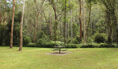 Mill Creek Picnic Area - Accommodation Burleigh 1