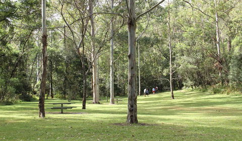 Mill Creek Picnic Area - Accommodation Burleigh 3