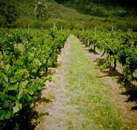 Gartelmann Wines - Accommodation Burleigh