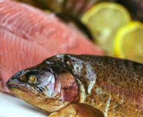 Lovedale Smokehouse Gourmet Pantry, Cafe And Masterclasses - Accommodation Burleigh 0