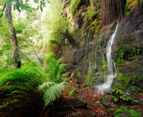 Fairy Bower Falls - Accommodation Burleigh 0
