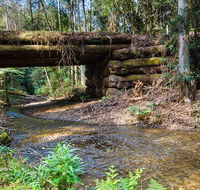 Myrtle Scrub scenic drive - Accommodation Burleigh