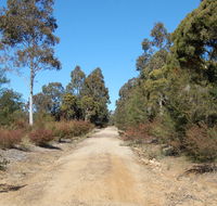 Werakata National Park - Accommodation Burleigh