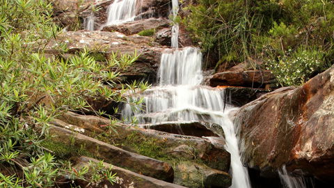 Popran National Park - Accommodation Burleigh 1