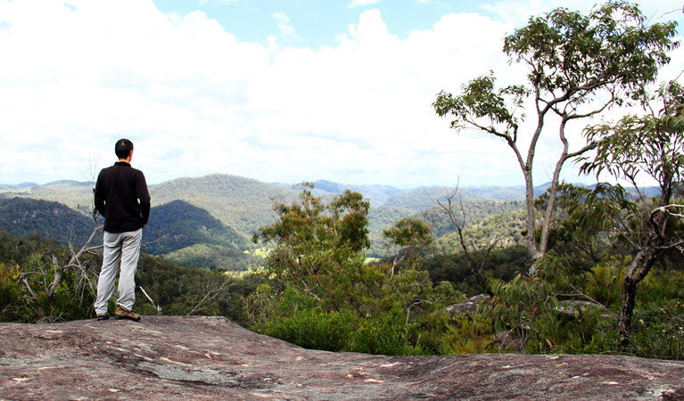 Central Coast NSW Accommodation Burleigh