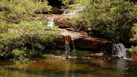 Popran National Park - Accommodation Burleigh 2