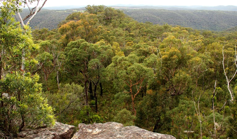 Mangrove Mountain NSW Accommodation Burleigh
