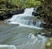 Jerusalem Creek trail - Accommodation Burleigh