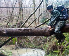Bear Grylls Survival Academy - Accommodation Burleigh 5