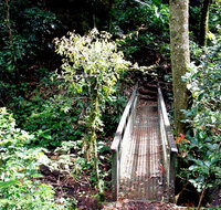 Richmond Range National Park - Accommodation Burleigh