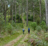 The Green Gully track - Accommodation Burleigh