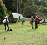 Forest of Tranquillity - Australian Rainforest Sanctuary - Accommodation Burleigh