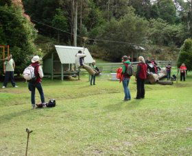 Forest Of Tranquillity - Australian Rainforest Sanctuary - Accommodation Burleigh 0