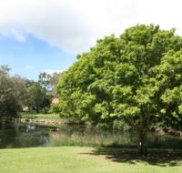 Hervey Bay Botanic Gardens - Accommodation Burleigh