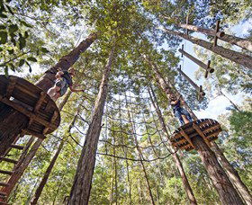 TreeTop Adventure Park Central Coast - Accommodation Burleigh 0