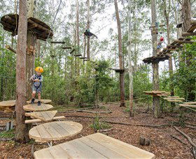 TreeTop Adventure Park Central Coast - Accommodation Burleigh 1