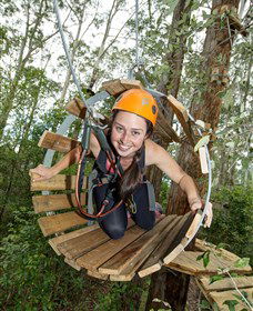 TreeTop Adventure Park Central Coast - Accommodation Burleigh 3