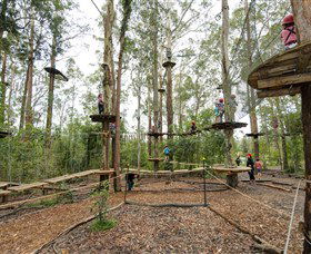TreeTop Adventure Park Central Coast - Accommodation Burleigh 5