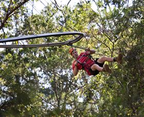 TreeTops Crazy Rider - Accommodation Burleigh 1