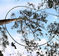TreeTops Crazy Rider - Accommodation Burleigh