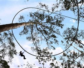 TreeTops Crazy Rider - Accommodation Burleigh 0