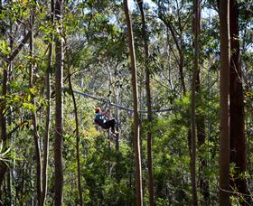 TreeTops Crazy Rider - Accommodation Burleigh 3