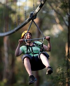 TreeTops Crazy Rider - Accommodation Burleigh 2