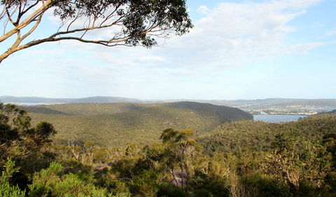 Staples Lookout - Accommodation Burleigh 1