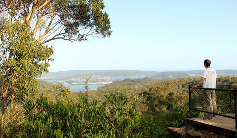 Staples Lookout - Accommodation Burleigh 2