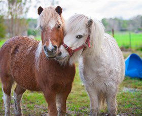 Amazement Farm And Fun Park / Cafe And Farmstay Accommodation - Accommodation Burleigh 5