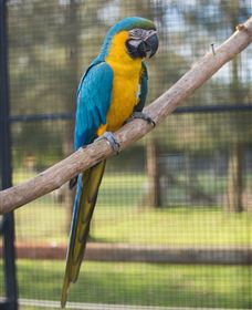 Amazement Farm And Fun Park / Cafe And Farmstay Accommodation - Accommodation Burleigh 8