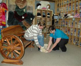 Mortels Sheepskin Factory - Accommodation Burleigh 1
