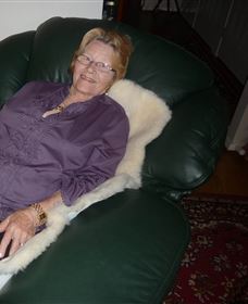 Mortels Sheepskin Factory - Accommodation Burleigh 6