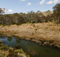Werrikimbe National Park - Accommodation Burleigh