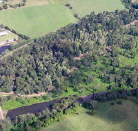 Moore Park Nature Reserve - Accommodation Burleigh