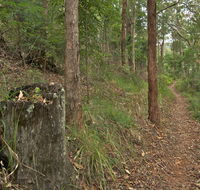 Border loop walk - Accommodation Burleigh