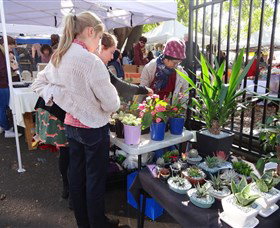 Glebe Markets - Accommodation Burleigh 3