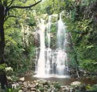 Budderoo National Park - The Falls Walk - Accommodation Burleigh