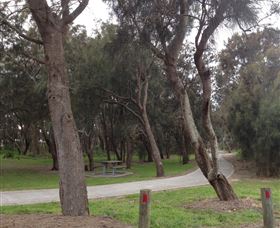 Tuggerah Lakes Cycleway - Accommodation Burleigh 2